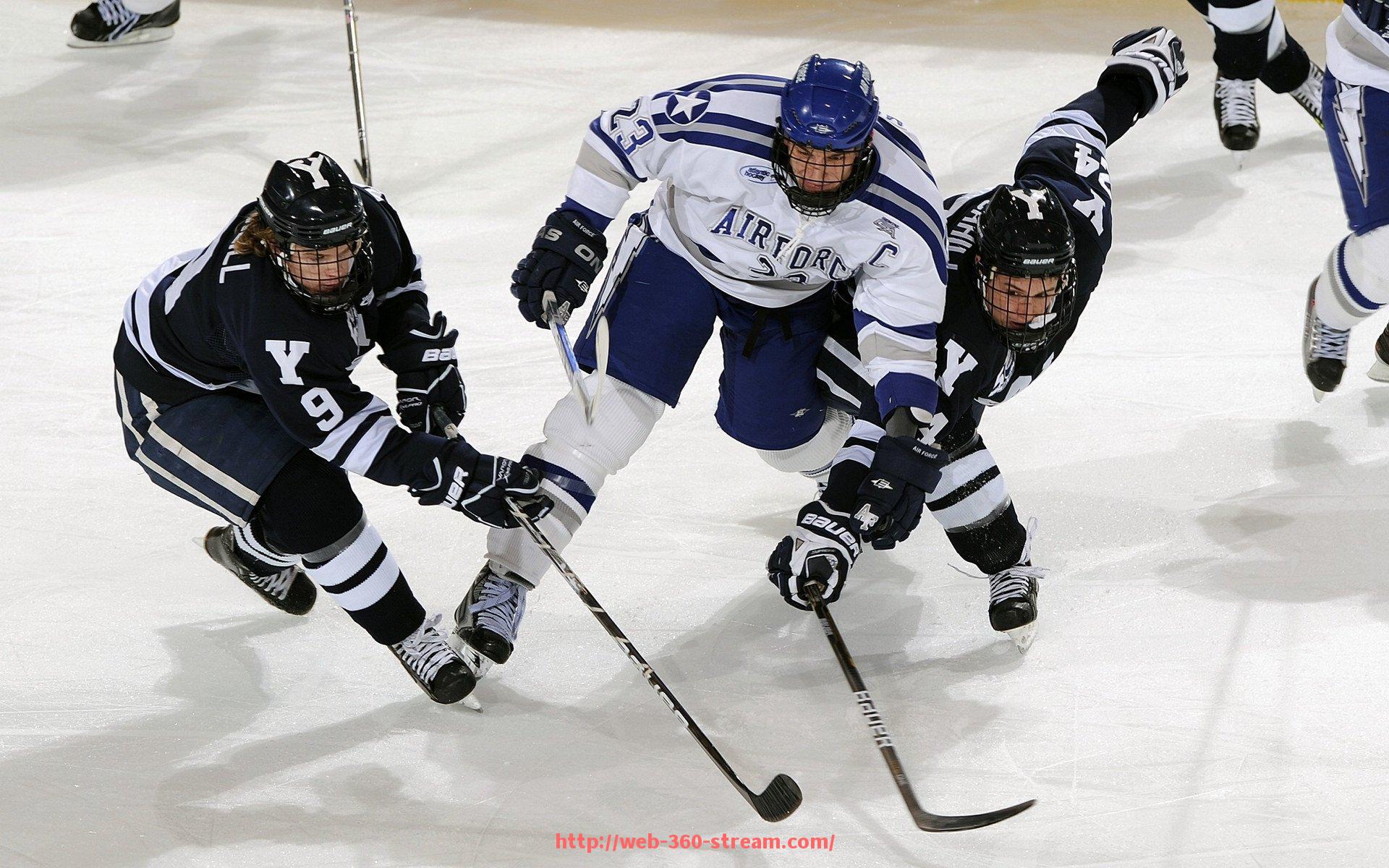 360直播-世俱杯赛事赞助项目管理流程细则及实操建议